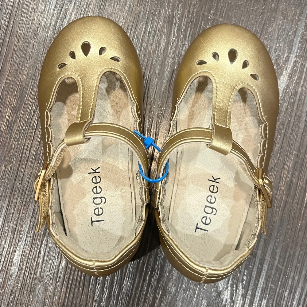 Tegeek Gold Shoes